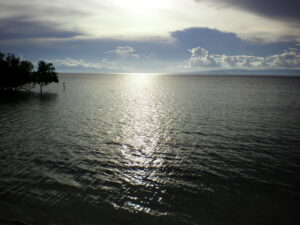 SANYO DIGITAL CAMERA